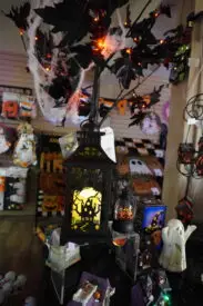 DSC00118